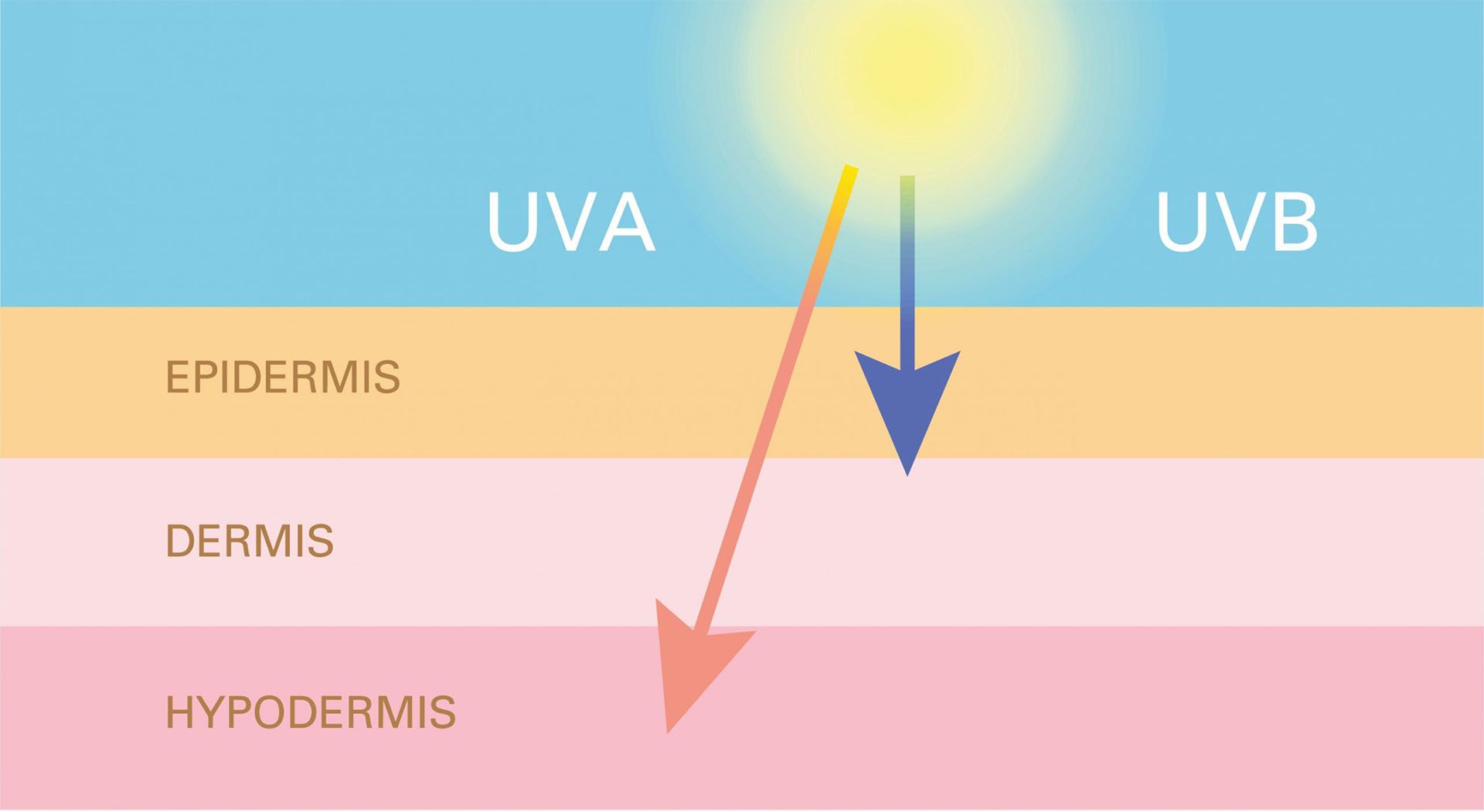Az UV sugárzás hatása a bőrre.
