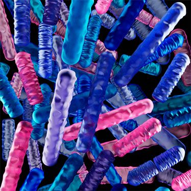 A mikrobiom sebgyógyulás terén kifejtett hatása